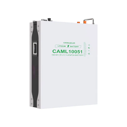 CAML 10051_500X Batteries